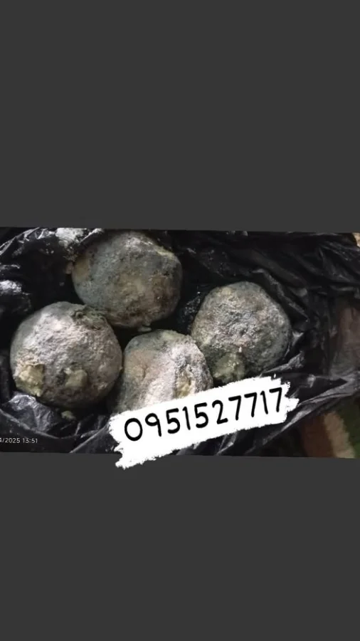 شنكليش بلدي مزعتر ع الاصو